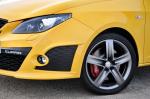 Seat Ibiza Cupra 2009 года